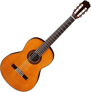 Amazon | ARIA アリア クラシックギター 表板単板 ソフトケース付 A